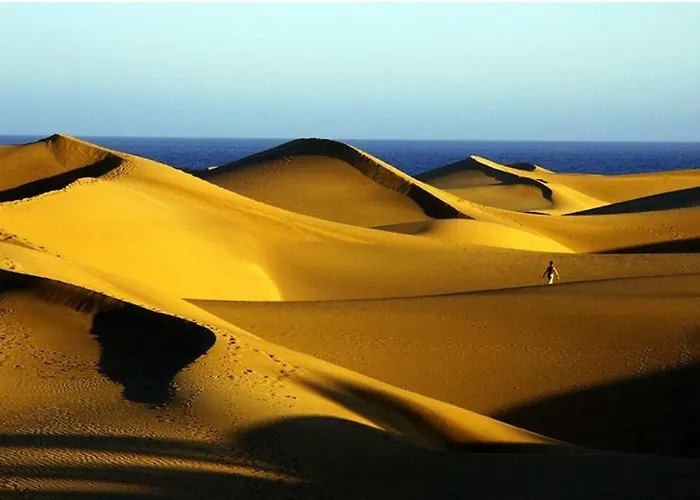 Blue 335 By Casas Cocodrilo Lejlighed Playa del Inglés