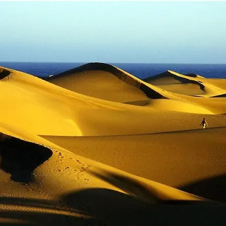 Blue 335 By Casas Cocodrilo Apartamento Playa del Inglés