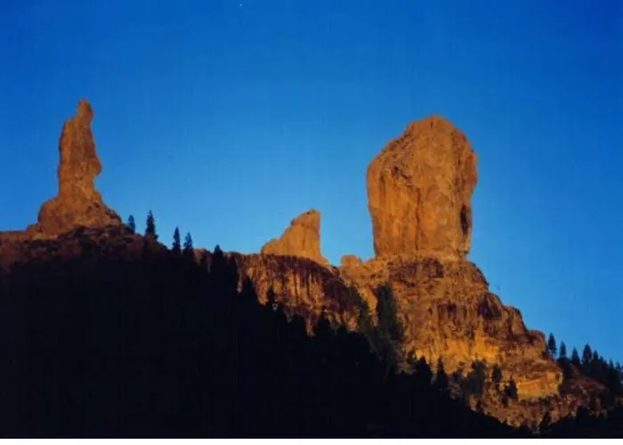 Blue 335 By Casas Cocodrilo